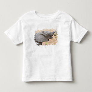Africa. Tanzania. Young Elephant at Tarangire Toddler T-Shirt