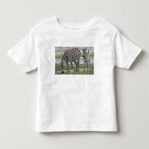 Africa. Tanzania. Zebra mother and colt Toddler T-Shirt