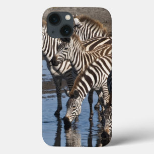 Africa. Tanzania. Zebras drinking at Ndutu iPhone 13 Case