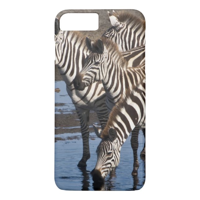 Africa. Tanzania. Zebras drinking at Ndutu Case-Mate iPhone Case (Back)