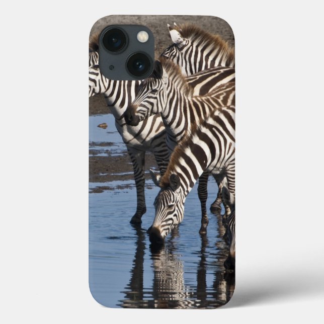 Africa. Tanzania. Zebras drinking at Ndutu in Case-Mate iPhone Case (Back)