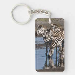 Africa. Tanzania. Zebras drinking at Ndutu Key Ring