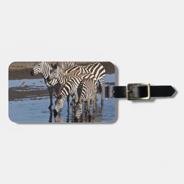 Africa. Tanzania. Zebras drinking at Ndutu Luggage Tag (Front Horizontal)