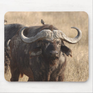 Africa - The ox with large horn Mouse Mat