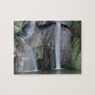 Africa, Uganda, Bwindi Impenetrable rainforest, Jigsaw Puzzle