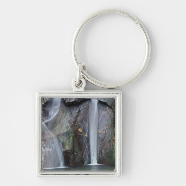 Africa, Uganda, Bwindi Impenetrable rainforest, Key Ring (Front)