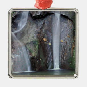 Africa, Uganda, Bwindi Impenetrable rainforest, Metal Tree Decoration