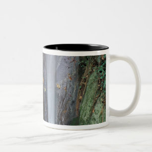 Africa, Uganda, Bwindi Impenetrable rainforest, Two-Tone Coffee Mug