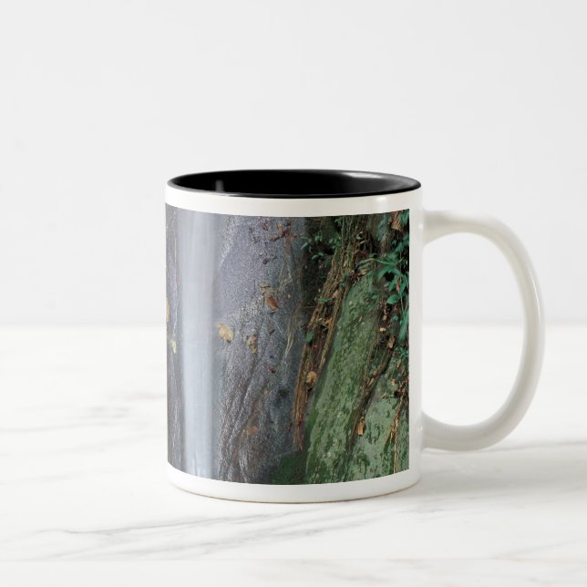 Africa, Uganda, Bwindi Impenetrable rainforest, Two-Tone Coffee Mug (Right)