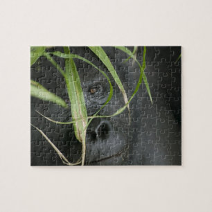 Africa, Uganda, Bwindi Jigsaw Puzzle