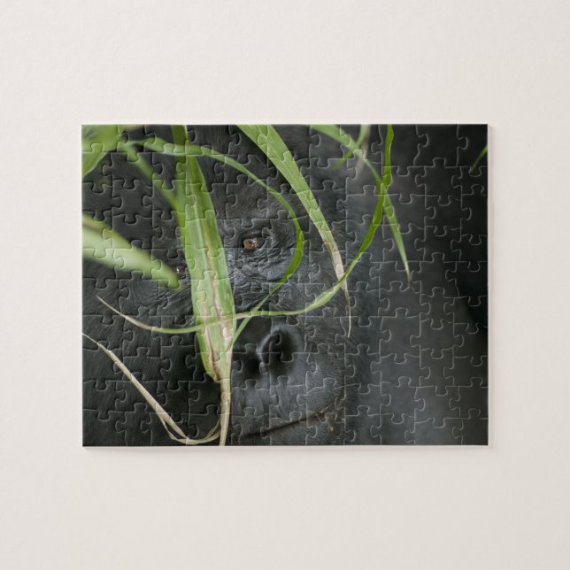 Africa, Uganda, Bwindi Jigsaw Puzzle (Horizontal)