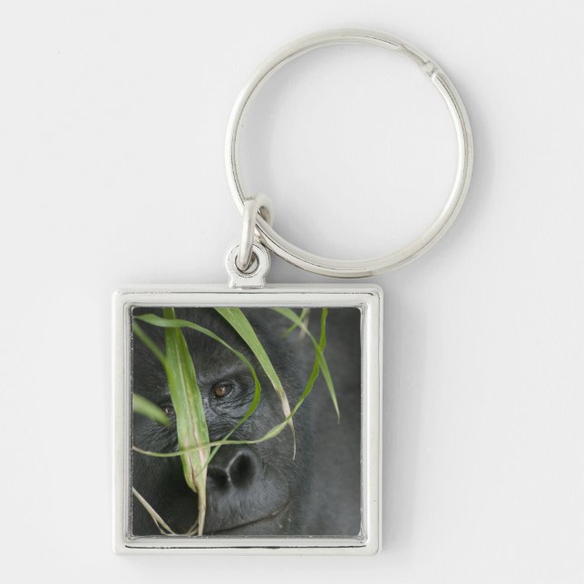 Africa, Uganda, Bwindi Key Ring (Front)
