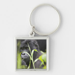 Africa Uganda, Bwindi Key Ring