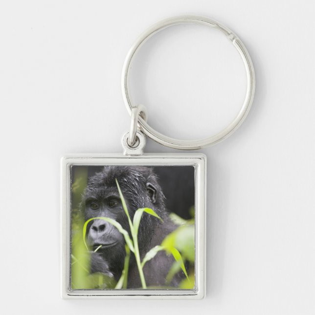 Africa Uganda, Bwindi Key Ring (Front)