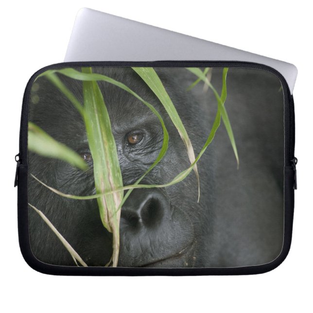 Africa, Uganda, Bwindi Laptop Sleeve (Front)