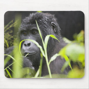 Africa Uganda, Bwindi Mouse Mat