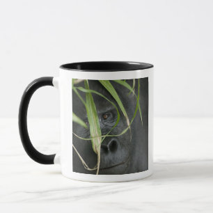 Africa, Uganda, Bwindi Mug
