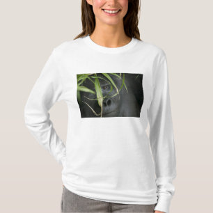 Africa, Uganda, Bwindi T-Shirt