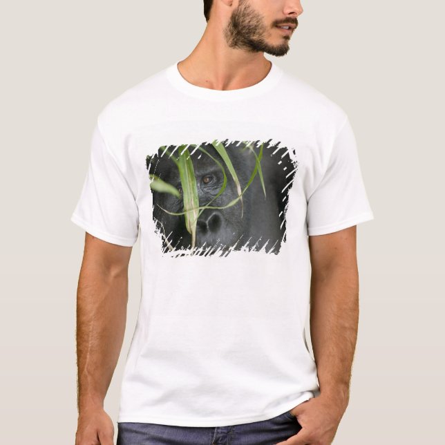Africa, Uganda, Bwindi T-Shirt (Front)