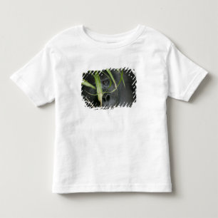 Africa, Uganda, Bwindi Toddler T-Shirt