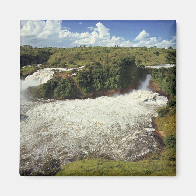 Africa, Uganda, Murchison Falls NP. The frothy Magnet (Front)