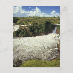 Africa, Uganda, Murchison Falls NP. The frothy Postcard