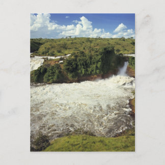 Africa, Uganda, Murchison Falls NP. The frothy Postcard