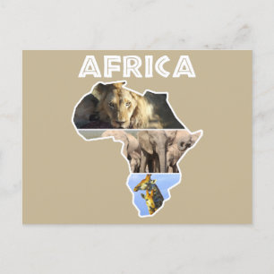 Africa Wildlife Continent Collage Holiday Postcard
