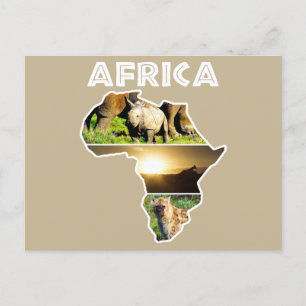 Africa Wildlife Continent Collage Holiday Postcard