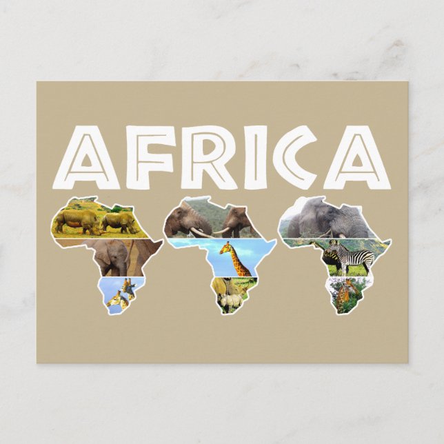 Africa Wildlife Continent Trio Collage Holiday Postcard (Front)