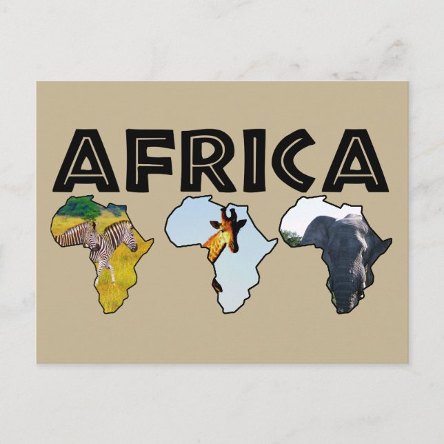 Africa Wildlife Continent Trio Holiday Postcard (Front)