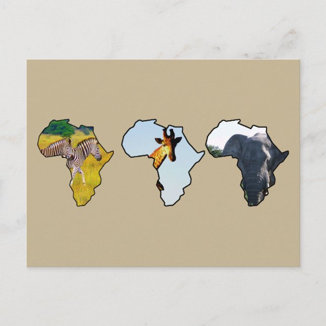 Africa Wildlife Continent Trio Wildlife Photos Holiday Postcard (Front)