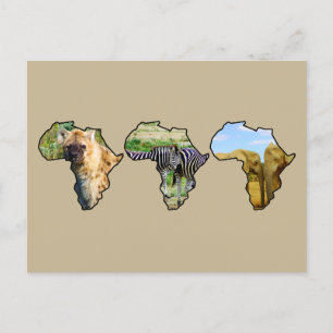 Africa Wildlife Continent Trio Wildlife Photos Holiday Postcard