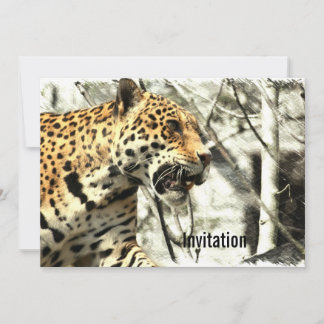 africa wildlife safari animal Wild Leopard Invitation