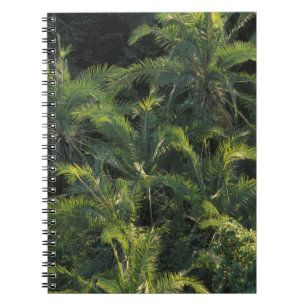 Africa, Zambia, Mosi-Oa-Tunya National Park, Notebook