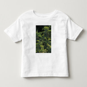 Africa, Zambia, Mosi-Oa-Tunya National Park, Toddler T-Shirt