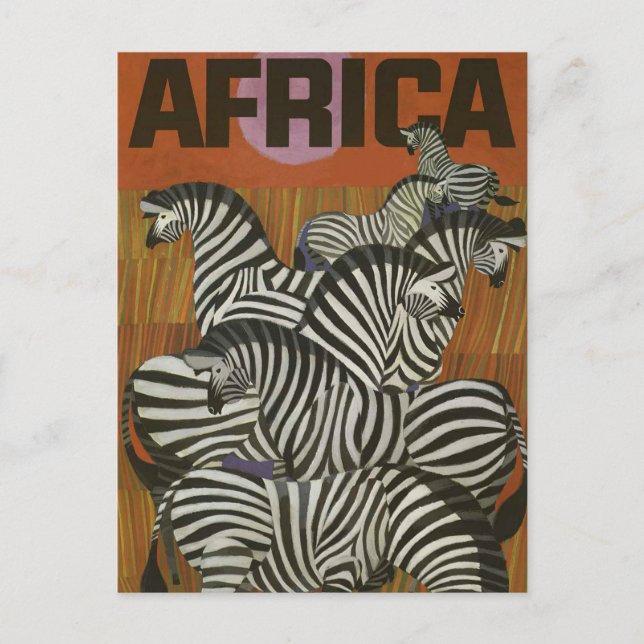 Africa Zebra Vintage Travel Postcard (Front)