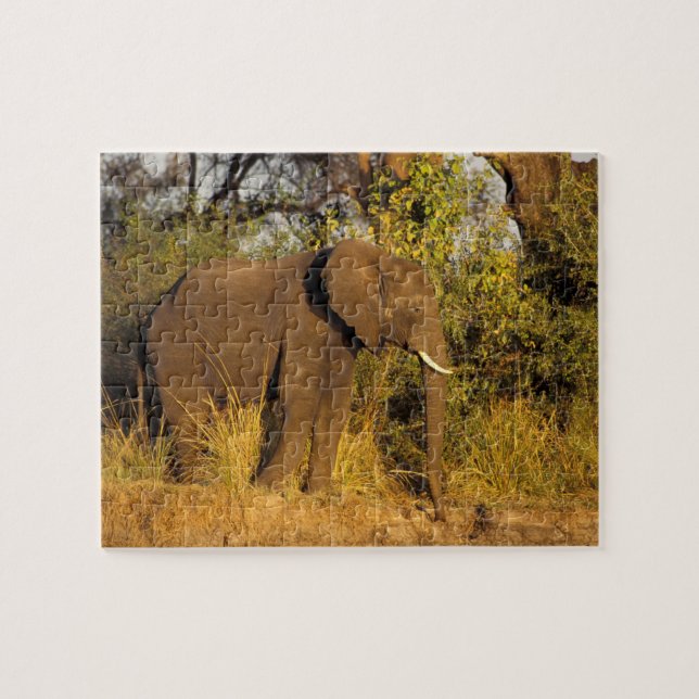 Africa, Zimbabwe, Victoria Falls National Park. Jigsaw Puzzle (Horizontal)
