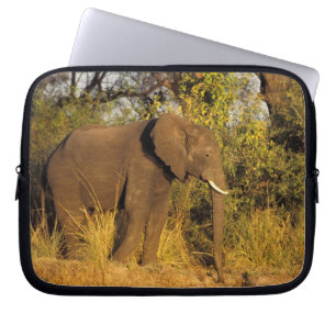 Africa, Zimbabwe, Victoria Falls National Park. Laptop Sleeve