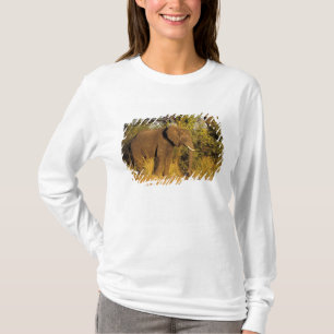 Africa, Zimbabwe, Victoria Falls National Park. T-Shirt