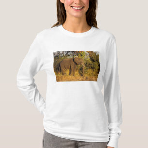 Africa, Zimbabwe, Victoria Falls National Park. T-Shirt