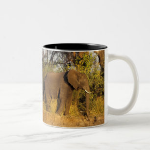 Africa, Zimbabwe, Victoria Falls National Park. Two-Tone Coffee Mug