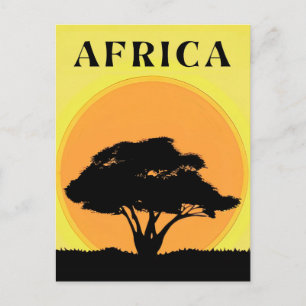 African Acacia Tree Against an Orange Sunset Postcard