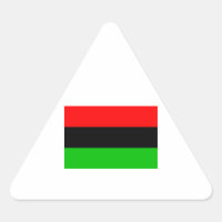 African American Flag