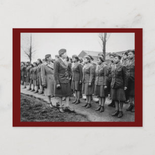 African American Office Inspects Troops Postcard