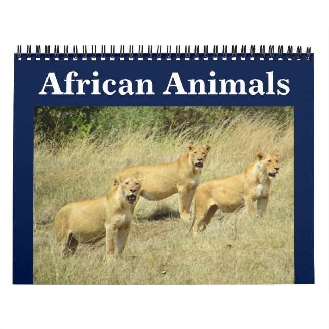african animalia calendar (Cover)