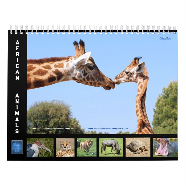 African animals 12 month calendar (Cover)