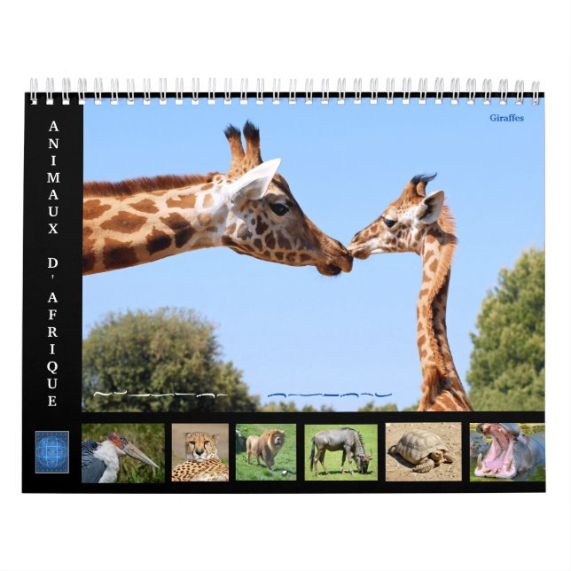 African animals 12 month calendar (Cover)