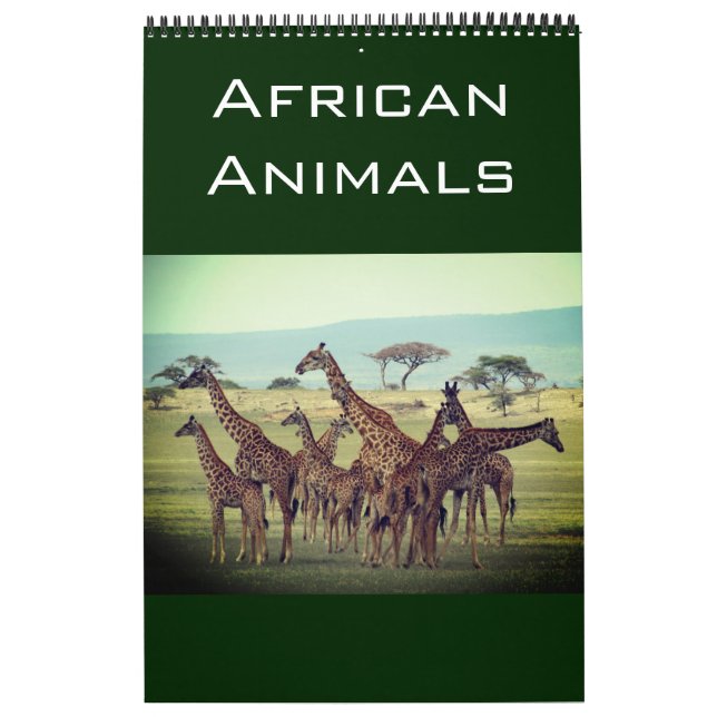 african animals 2026 calendar (Cover)