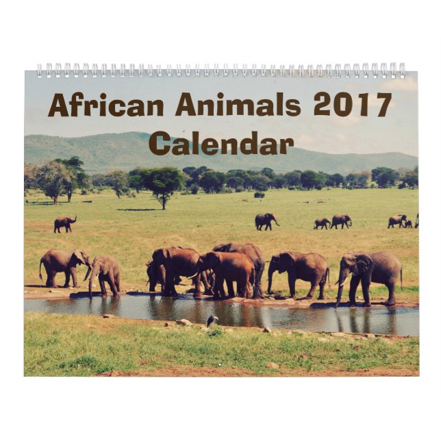 African Animals Calendar (Cover)